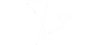 Bkash logo for file upload